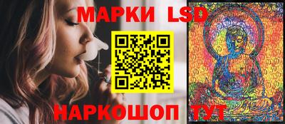 прущие грибы Можга