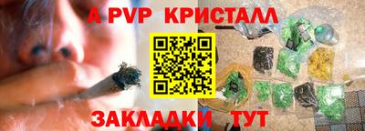 прущие грибы Можга