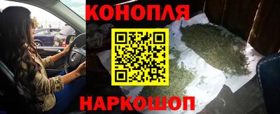прущие грибы Можга