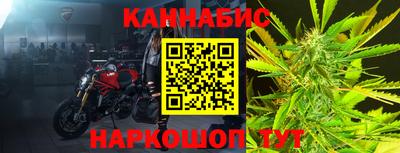 прущие грибы Можга
