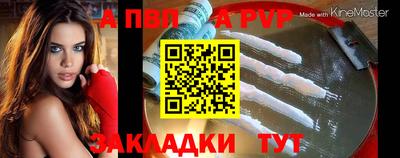 прущие грибы Можга