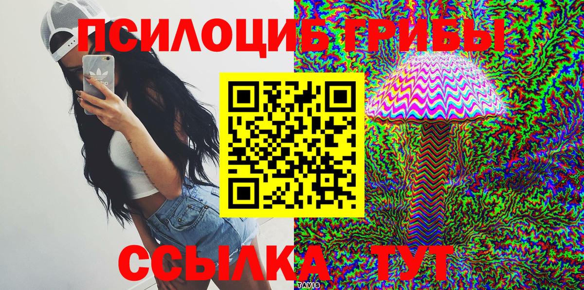 Галлюциногенные грибы мицелий Горячий Ключ